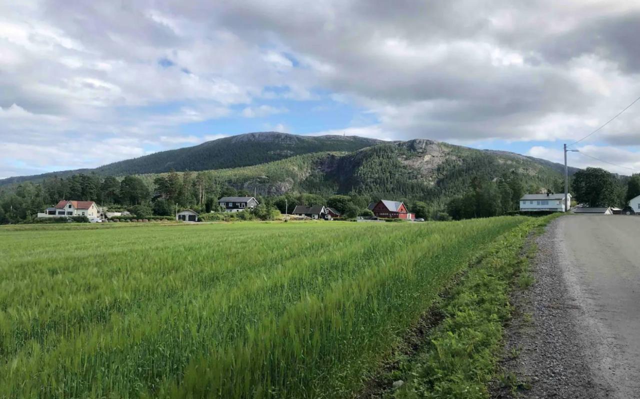 Stille Og Landlig, Men Sentrumsnaer Leilighet Apartment นัมซอส ภายนอก รูปภาพ