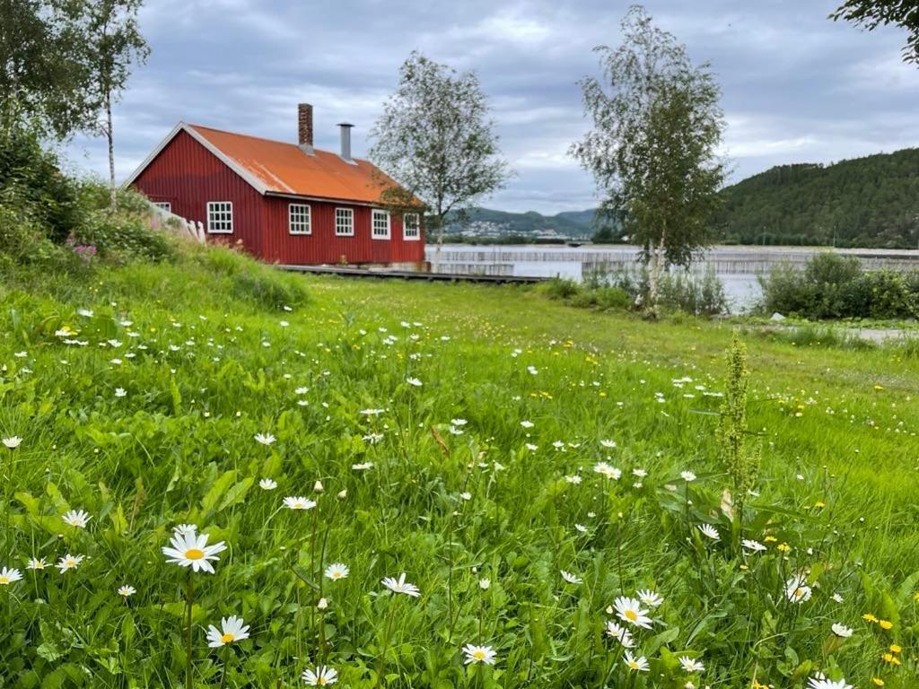 Stille Og Landlig, Men Sentrumsnaer Leilighet Apartment นัมซอส ภายนอก รูปภาพ